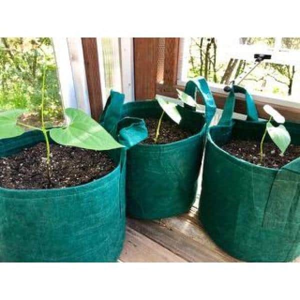 Root Pouch Breathable 10 gal. Forest Green Fabric Boxer Planting Containers and Pots Planter with Handles (5-Pack)