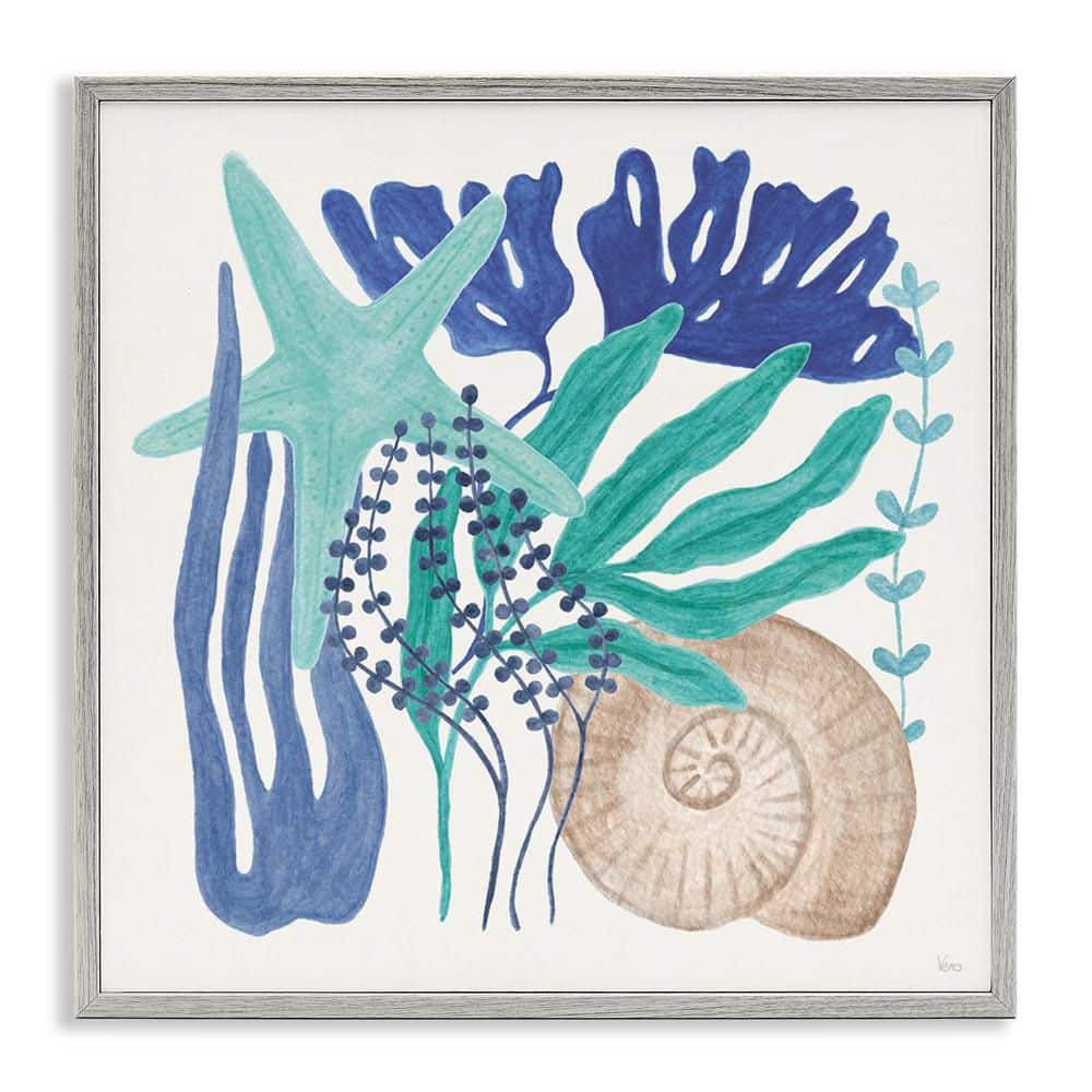 Layered Coastal Shells by Veronique Charron Gray Framed Coastal Giclee Art Print 24 in. x 24 in. price history on PriceWatchPro