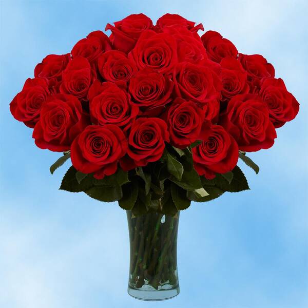 Globalrose Fresh Valentine's Day Red Roses (75 Extra Long Stems)