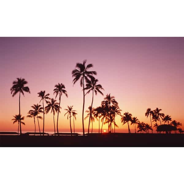 Biggies Palm View - Weather Proof Scene for Window Wells or Wall Mural - 80 in. x 40 in.