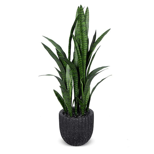 Unbranded Botanical 4.9 ft. Artificial Sansevieria in Pot