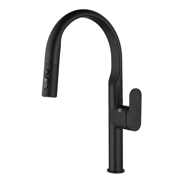 FLG Single Handle Pull Down Sprayer Kitchen Faucet with 180° Spout Swivel 18.46 in. Temperature Display in Matte Black