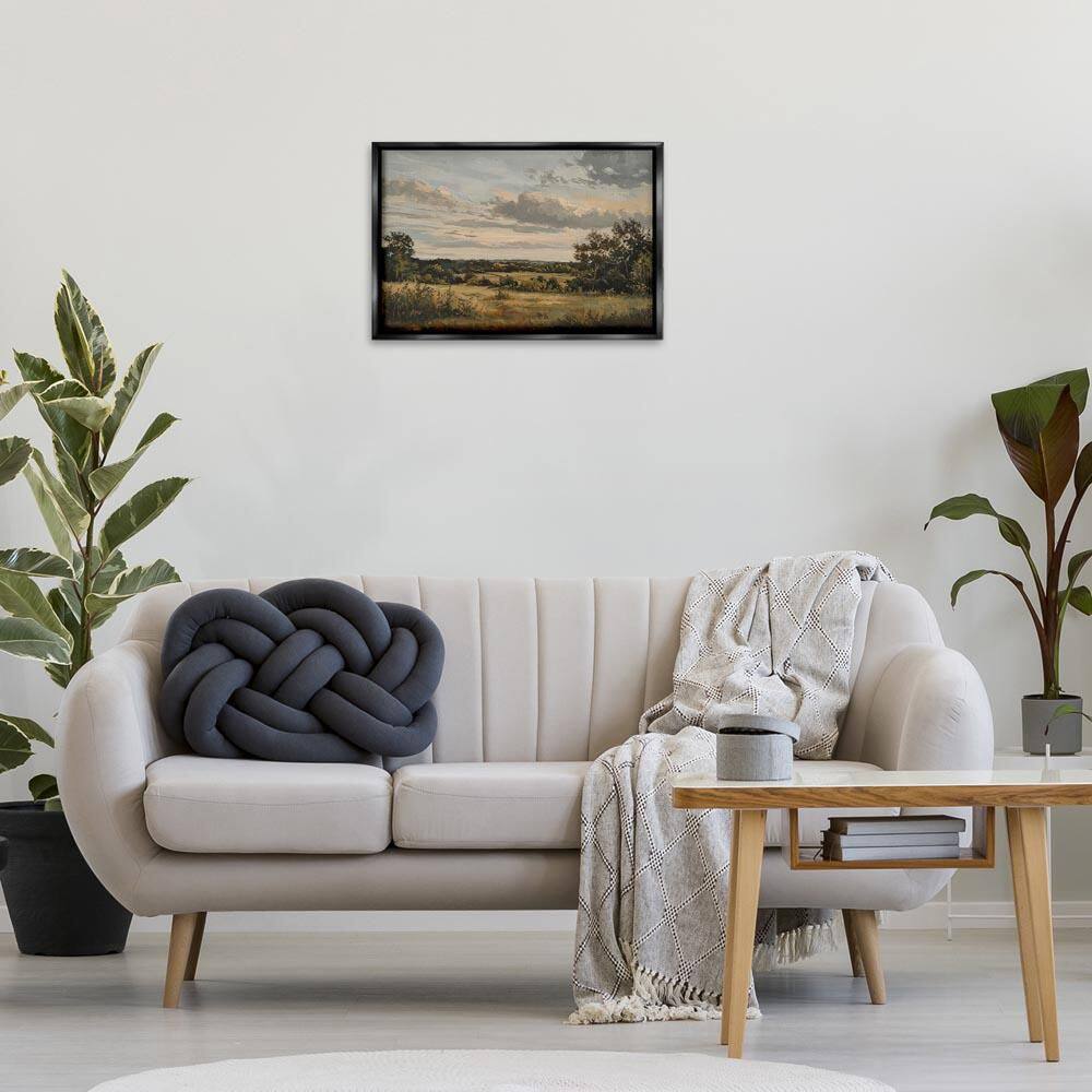 Evening Light Countryside by LSR Creative Studio Black Floater Frame Nature Graphic Art Print 17 in. x 25 in. price history on PriceWatchPro