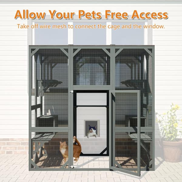 Outdoor cat enclosure with window access best sale