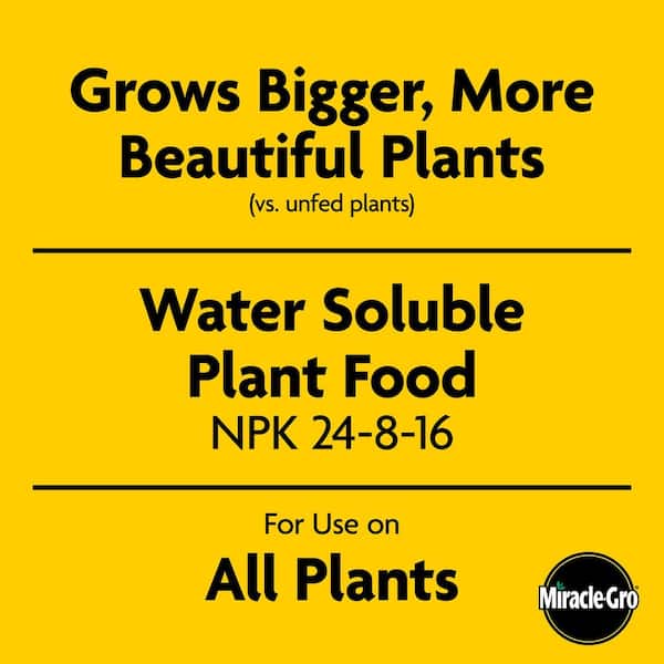 Water Soluble All Purpose Plant Food 4.25 lbs. Indoor and Outdoor Flower, Vegetable and Houseplant Fertilizer 24-8-16