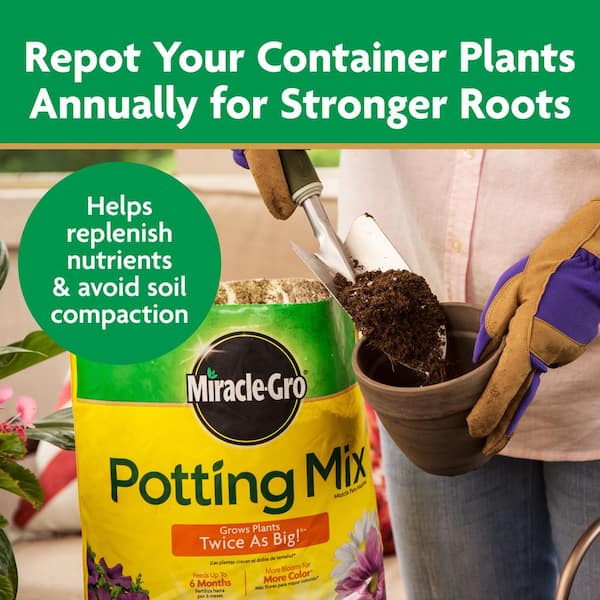 Miracle-Gro Potting Mix Soil 25 qt. For Container Plants, Flowers,  Vegetables, Shrubs, Feeds up to 6-Months 72781431