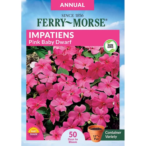 Impatiens Pink Baby Dwarf Pelleted Flower Seed