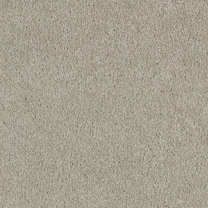 Lifeproof with Petproof Technology 8 in. x 8 in. Texture Carpet Sample ...