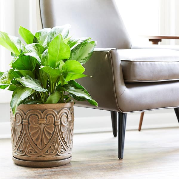 https://images.thdstatic.com/productImages/27a34c92-2bf3-4bb4-b8d8-2c5e922915cc/svn/brown-southern-patio-plant-pots-crm-081531-66_600.jpg