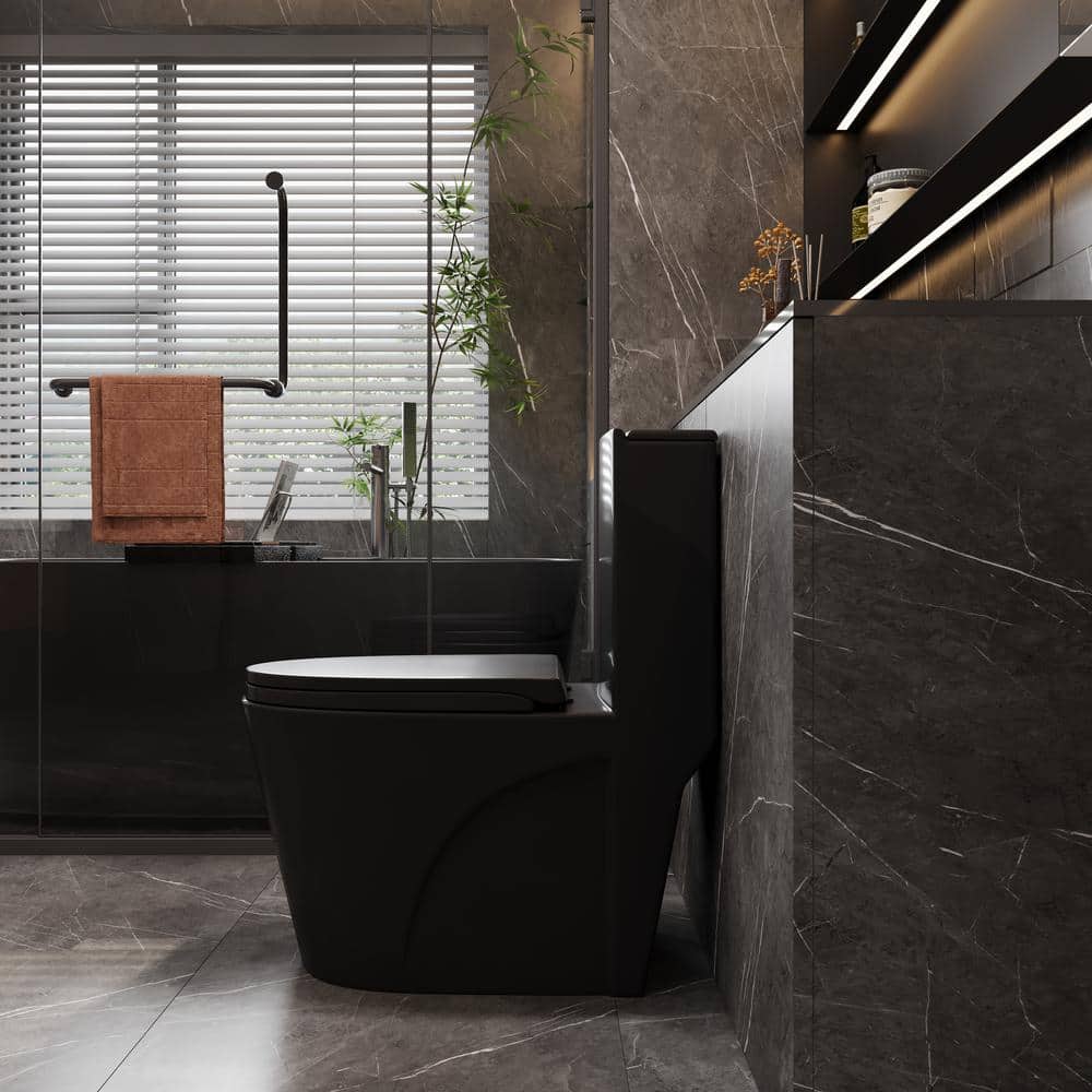 Matte Black Ceramic Dual Flush Elongated One-Piece Toilet