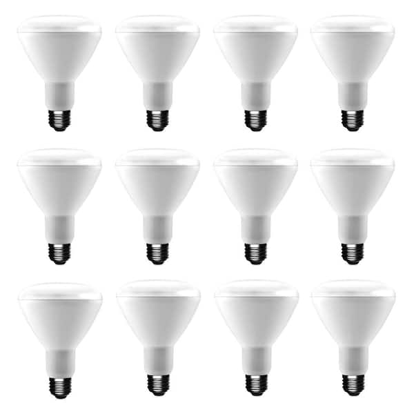 EcoSmart 65-Watt Equivalent BR30 Dimmable LED Light Bulb, Soft White (12-Pacl)