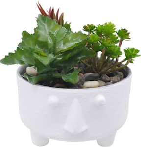 5 in. Matte White Planter with Stone Man Face Planters for Succulent and Little Snake Plants