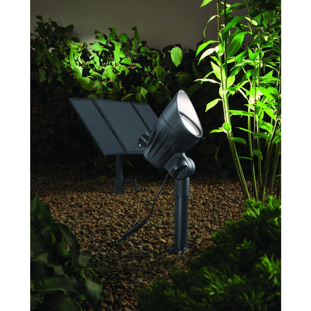 Home Decorators Collection - 300-600 Lumen Black LED High-Low Metal Weather Resistant Outdoor Solar Spot Light