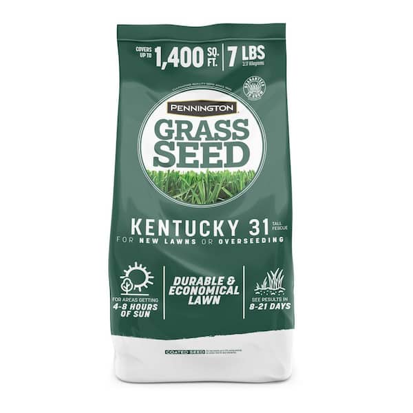 Kentucky 31 Tall Fescue 7 lb. 1,400 sq. ft. Grass Seed