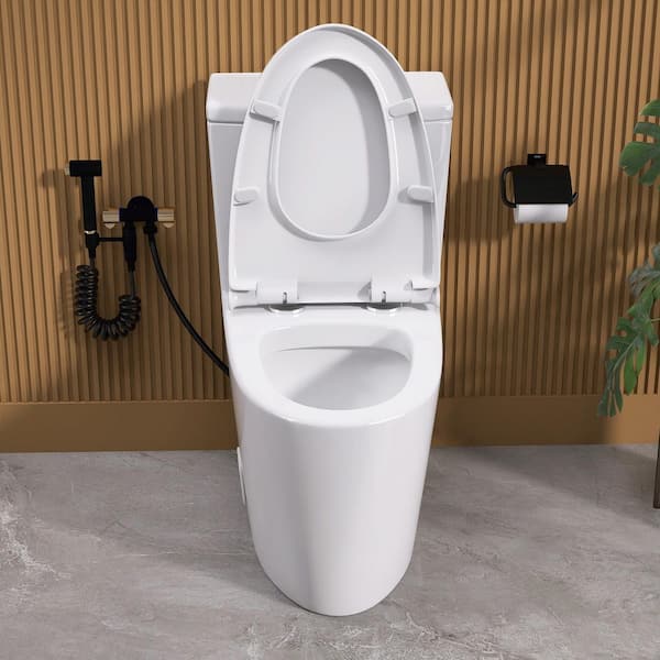 Zeafive Top 1-Piece Toilet 1.1/1.6 GPF Dual Flush Compact