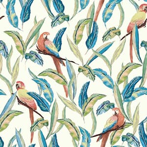 Timor Multi-Colored White Tropical Parrot Wallpaper