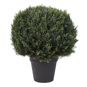 23 in. Artificial Ball Style Cypress Topiary