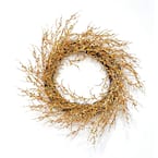 22 in. Gold Artificial Christmas Wreath with Glitter Coral Twig