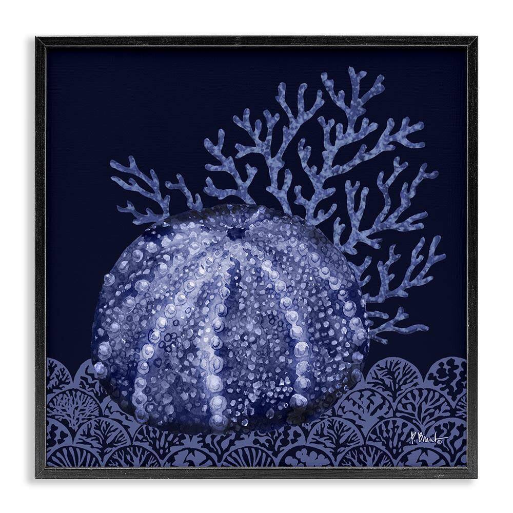 Dark Sea Urchin by Paul Brent Black Framed Coastal Giclee Art Print 17 in. x 17 in. price history on PriceWatchPro