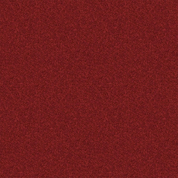TrafficMaster Alpine - Passion - Red 15 ft. 17.3 oz. Polyester Texture Installed Carpet
