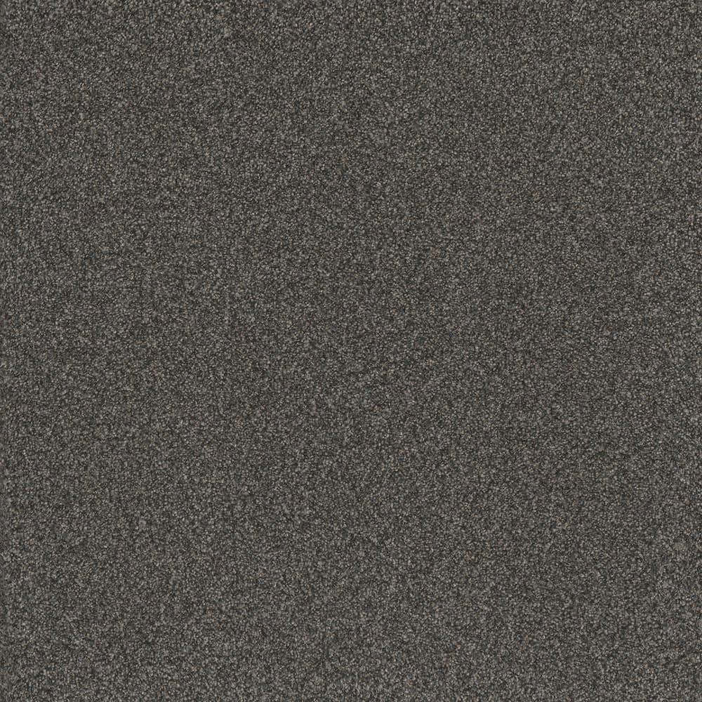 8 in. x 8 in. Texture Carpet Sample - Serene Glory I - Color Steady price history on PriceWatchPro