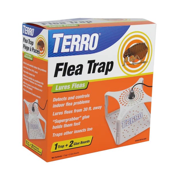 How to make a flea trap 