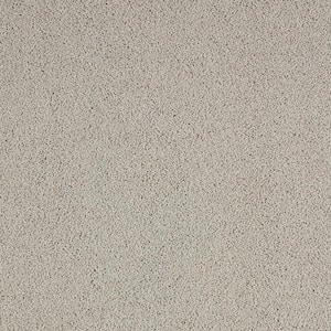 Cleoford Clam Island Gray 47 oz. Triexta Texture Installed Carpet