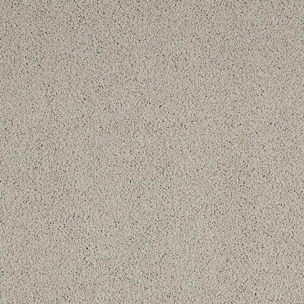 Lifeproof with Petproof Technology Cleoford Clam Island Gray 47 oz. Triexta Texture Installed Carpet