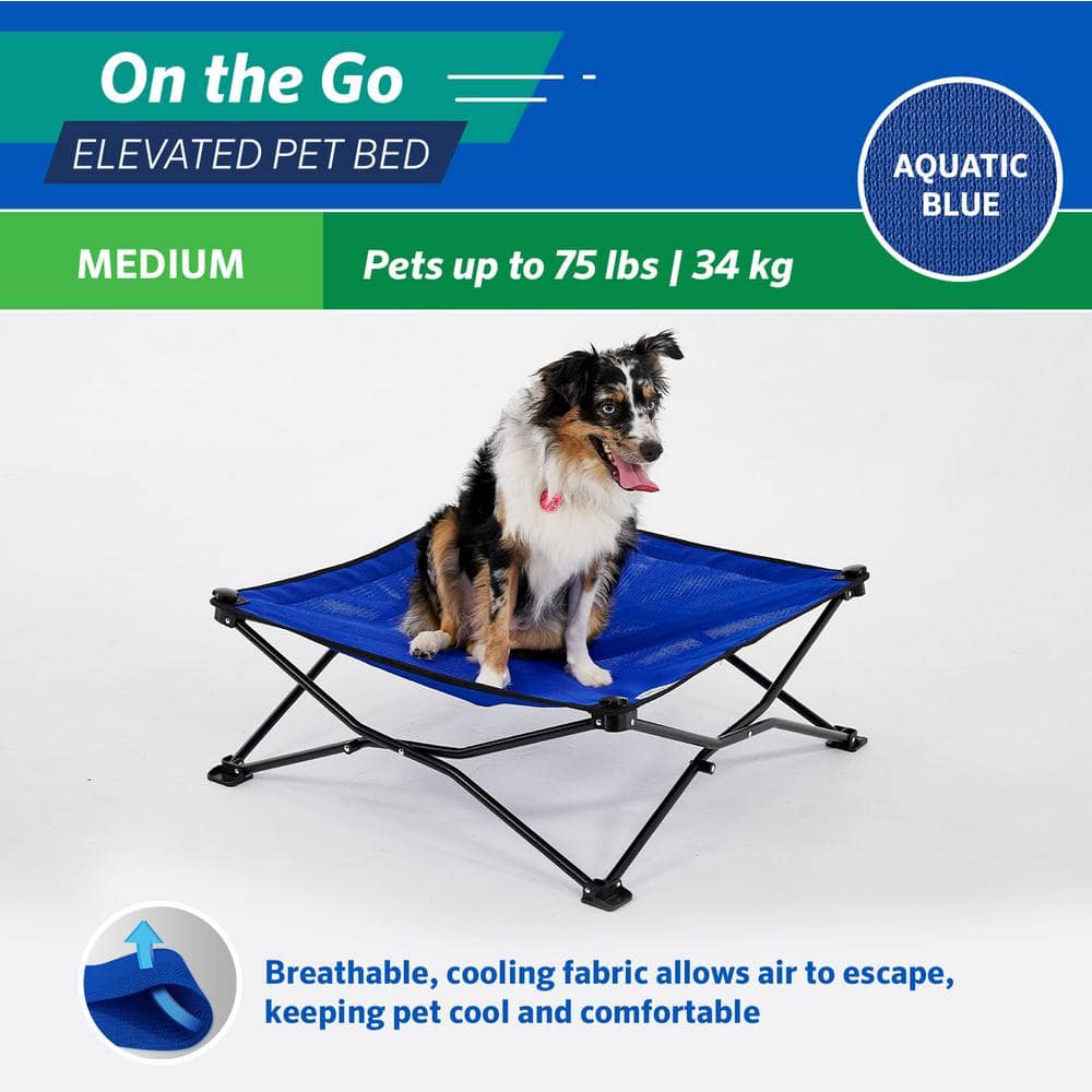 Medium Aquatic Blue Elevated Outdoor Pet Bed