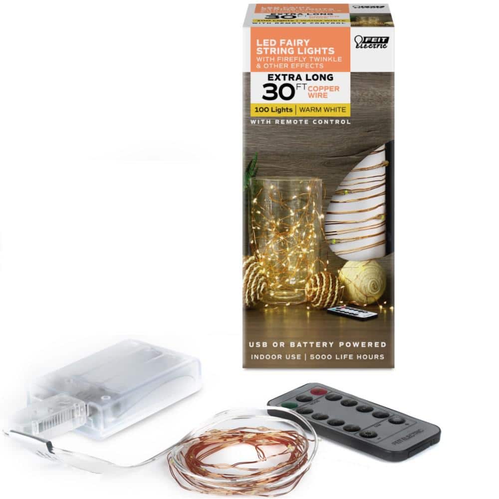 Feit Electric Fairy Indoor 30 ft. LED 100-Light Copper Wire Warm White USB  or Battery Operated String Light with Remote FY30-100/USB/CPR