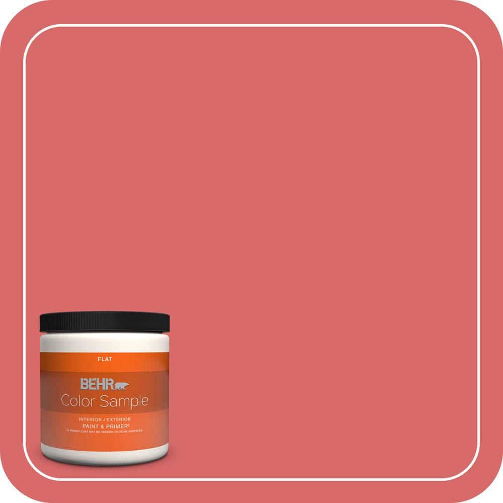 8 oz. #160B-6 Coral Expression Flat Interior/Exterior Paint & Primer Color Sample product image for price tracking