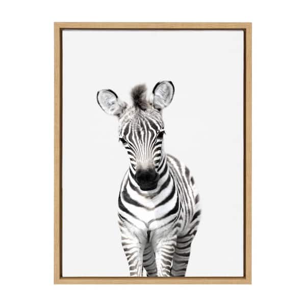 Kate and Laurel Sylvie "Animal Studio Zebra" by Amy Peterson Framed Canvas Wall Art