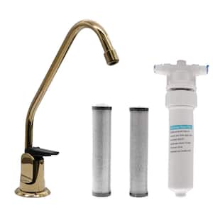 8 in. Touch-Flo Style Cold Water Dispenser Faucet Kit with In-line Filter and 2-Pack Cartridges, Polished Brass