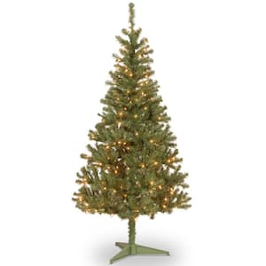 6 ft. Canadian Fir Grande Hinged Artificial Christmas Tree with 250 Clear Lights