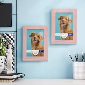 Woodgrain 4 in. x 6 in. Sunset Pink Picture Frame (Set of 2)