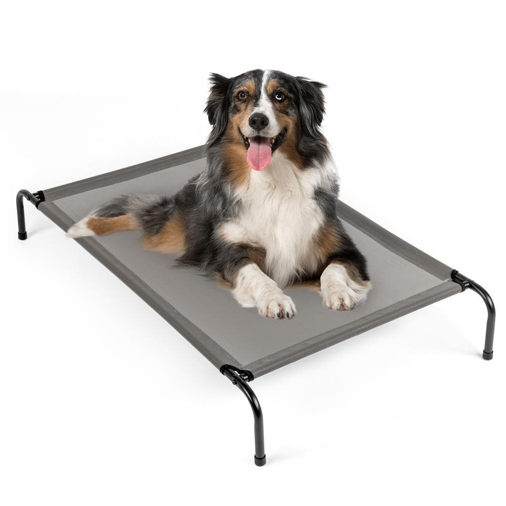 Medium Gray Teslin Top with Black Iron Pipe Pet Bed price history on PriceWatchPro