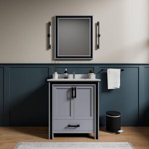 Lexora Ziva 30 in W x 22 in D Dark Grey Bath Vanity without Top