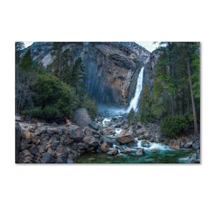 Yosemite National Park - California-IV by David Ayash Floater Frame Nature Wall Art 12 in. x 19 in.