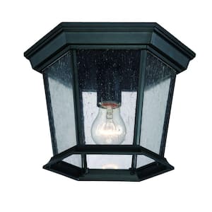 Dover Collection 1-Light Matte Black Outdoor Ceiling Fixture