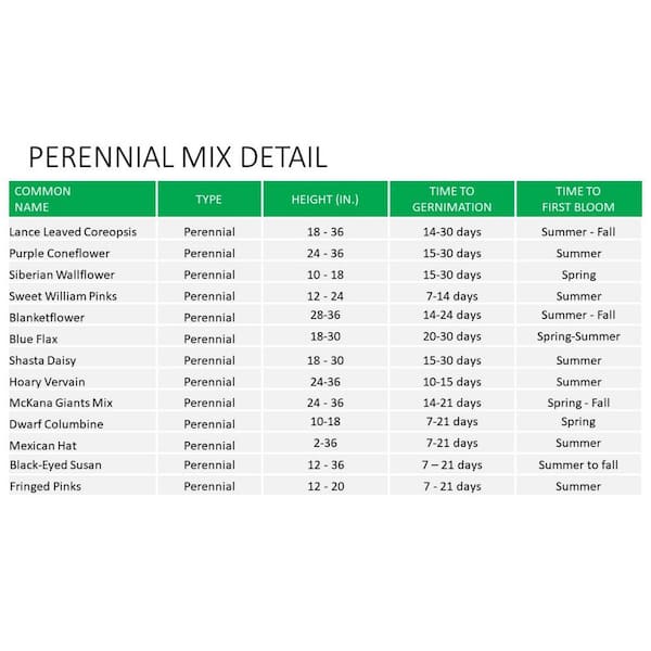 Mix & Match - One of each size – plantstraws