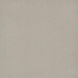 Camelia Lane - Poland - Beige 28 oz. SD Polyester Loop Installed Carpet