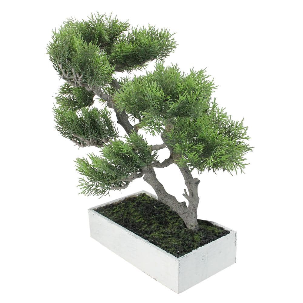 Green Plastic Japanese Bonsai Tree in White Planter Box