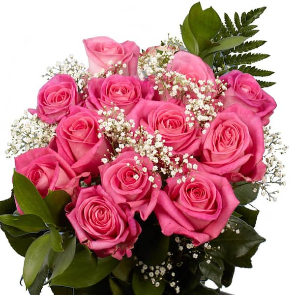 Globalrose 3-Dozen Hot Pink Roses with Babysbreath and Green- Fresh ...