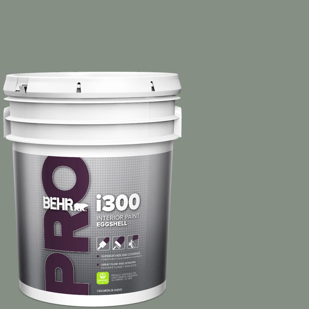 5 gal. #ECC-49-3 Forest Moss Eggshell Interior Paint price history on PriceWatchPro