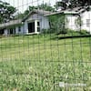 Fencer Wire 2 ft. x 50 ft. 16-Gauge Green PVC Coated Welded Wire Fence with  Mesh Size 3 in. x 2 in. WV16-G2X50M32 - The Home Depot