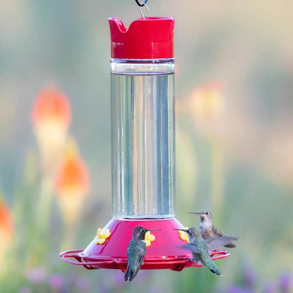 Hummingbird Feeder Glass 5 Feeding Stations 23-Ounce Nectar Capacity Vintage Red 
