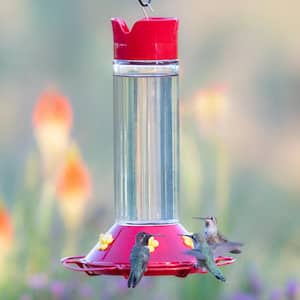 Our Best Red Base Glass Hummingbird Feeder - 30 oz. Capacity