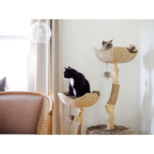 106 in 2024 cat tree