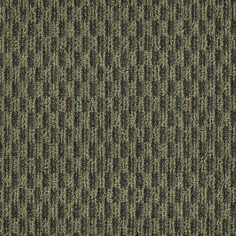 8 in. x 8 in. Berber Carpet Sample - Morro Bay - Color Forest Mist price history on PriceWatchPro