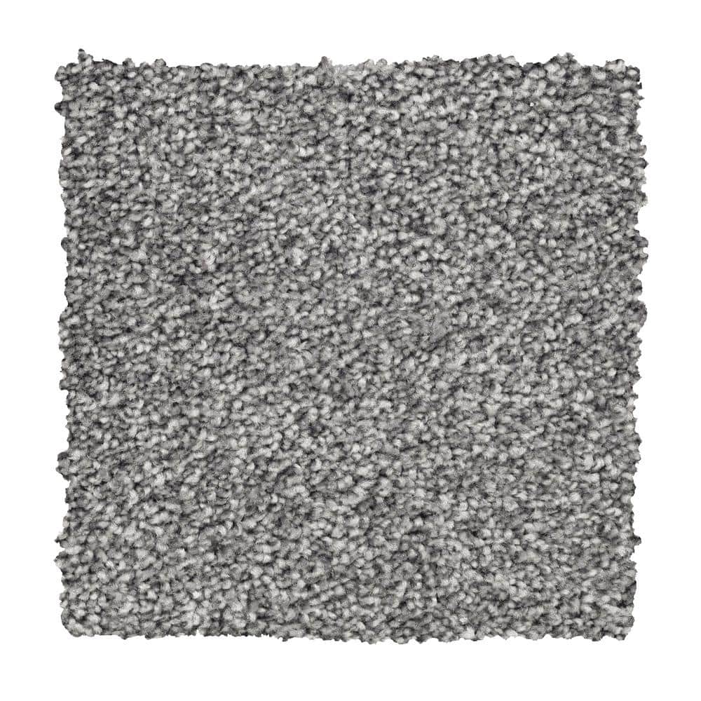 8 in. x 8 in. Texture Carpet Sample - Silver Mane I -Color Batik price history on PriceWatchPro